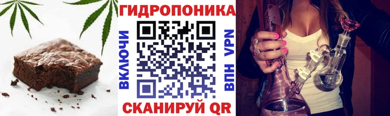 blacksprut ссылки  наркошоп  Новая Ладога  Печенье с ТГК конопля 