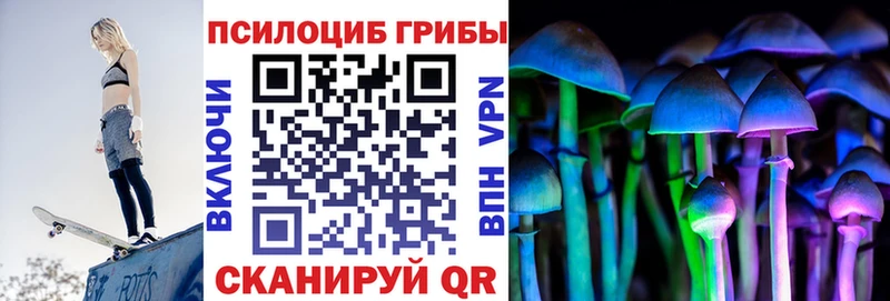 Псилоцибиновые грибы MAGIC MUSHROOMS  купить наркоту  Новая Ладога 