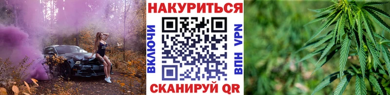 Бошки марихуана гибрид  Новая Ладога 